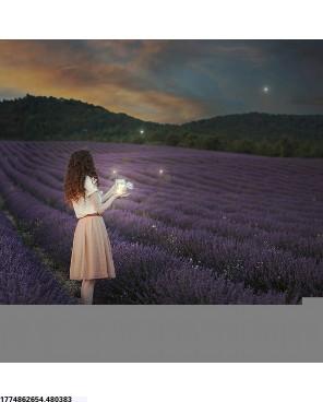 大卫·莫斯科维茨